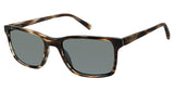 Ted Baker TBM048 Sunglasses