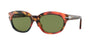 Persol 3250S Sunglasses