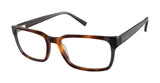 Ted Baker B888 Eyeglasses