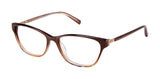 Ted Baker B737 Eyeglasses