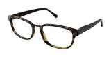 Ted Baker B885 Eyeglasses