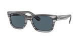 Ray Ban Mr Burbank 2283 Sunglasses