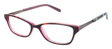 Ted Baker B714 Eyeglasses