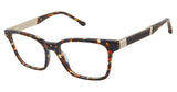 Buffalo by David Bitton BW005 Eyeglasses