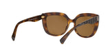 500383 - Havana - Polar Brown