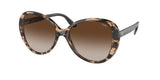 Chaps 5008 Sunglasses