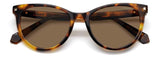 0086-HE - Havana - Copper Polarized