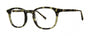 Seraphin ALDEN Eyeglasses