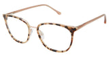 Buffalo by David Bitton BW019 Eyeglasses