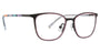 Vera Bradley VBAbi Eyeglasses