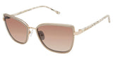 Buffalo by David Bitton BWS012 Sunglasses