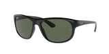 Ray Ban 4351 Sunglasses