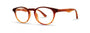 OGI Eyewear 7168 Eyeglasses