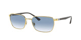 Ray Ban 3684 Sunglasses