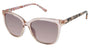 Ted Baker TBW135 Sunglasses