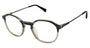 Buffalo by David Bitton BM016 Eyeglasses