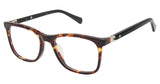 Customer Appreciation Program SPPENOBSCOT Eyeglasses