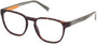 Timberland 1745 Eyeglasses