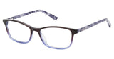 Ted Baker B976 Eyeglasses