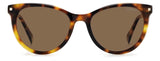 0086-HE - Havana - Copper Polarized