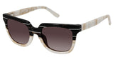 L.A.M.B. LA553 Sunglasses