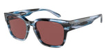 Arnette Type Z 4294 Sunglasses