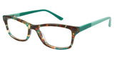 Ted Baker B952 Eyeglasses