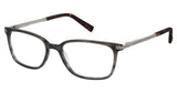 Ted Baker TFM001 Eyeglasses