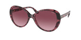 Chaps 5008 Sunglasses