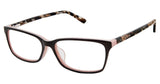 Ted Baker B753UF Eyeglasses