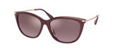 Michael Kors Dublin 2150U Sunglasses