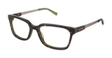 Ted Baker B887 Eyeglasses