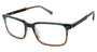 Ted Baker TM006 Eyeglasses