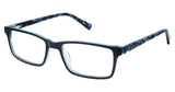 Ted Baker B971 Eyeglasses