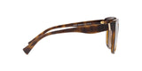 500383 - Havana - Polar Brown