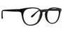 Badgley Mischka Pierce Eyeglasses