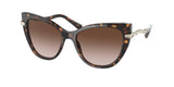 Bvlgari 8236BF Sunglasses