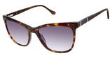 Buffalo by David Bitton BWS005 Sunglasses