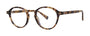 Seraphin STAUDER Eyeglasses