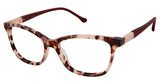 Buffalo by David Bitton BW001 Eyeglasses