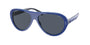 Polo 4178 Sunglasses