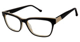 Buffalo by David Bitton BW006 Eyeglasses