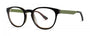 OGI Eyewear 9113 Eyeglasses